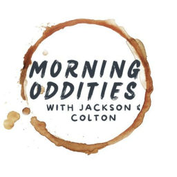 Podcast thumbnail for Morning Oddities