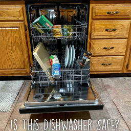 Podcast thumbnail for Is This Dishwasher Safe?