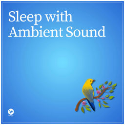 Podcast thumbnail for Sleep with Ambient Sound