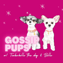 Podcast thumbnail for Gossip Pups