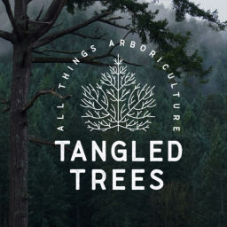 Podcast thumbnail for Tangled Trees