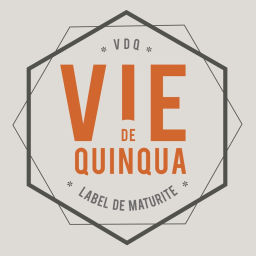 Podcast thumbnail for VIE DE QUINQUA Le Podcast