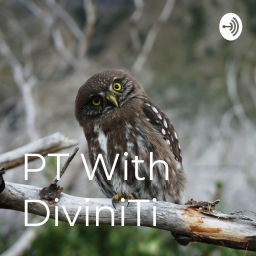 Podcast thumbnail for PT With DiviniTi