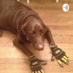 Podcast thumbnail for uncut & undiscussed