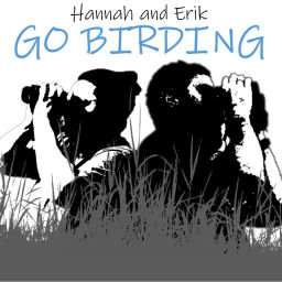 Podcast thumbnail for Hannah and Erik Go Birding