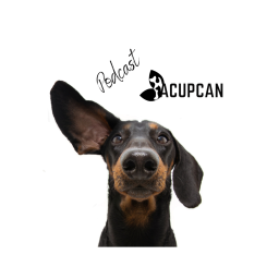 Podcast thumbnail for Salud y bienestar Animal más allá de la medicina tradicional