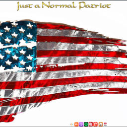 Podcast thumbnail for Just a Normal Patriot