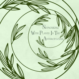 Podcast thumbnail for Podcast Networking with Plants in the Anthropocene