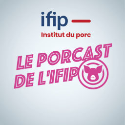 Podcast thumbnail for PorCast by ifip