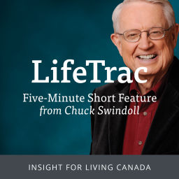 Podcast thumbnail for Insight for Living Canada - LifeTrac Podcast