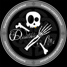 Podcast thumbnail for Dissectible Me 5 minute anatomy