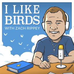 Podcast thumbnail for I Like Birds