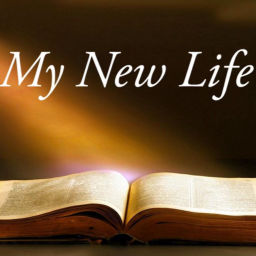 Podcast thumbnail for My New Life