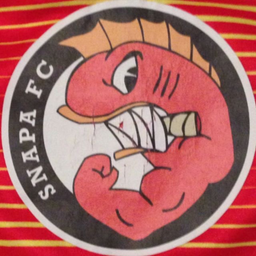 Podcast thumbnail for Snapa Matchcast