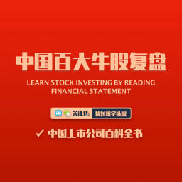 Podcast thumbnail for 中国百大牛股复盘
