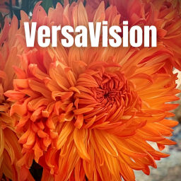Podcast thumbnail for VersaVision