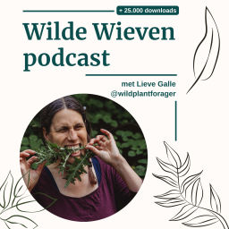 Podcast thumbnail for Wilde Wieven Podcast