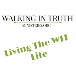 Podcast thumbnail for Living the WIT Life