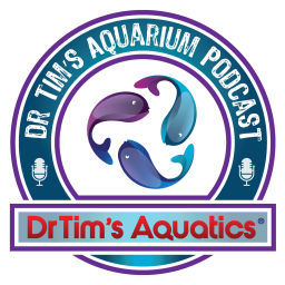 Podcast thumbnail for DrTim's Aquarium Podcast