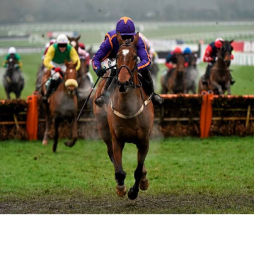 Podcast thumbnail for Cheltenham Festival Preview Longshotvalue