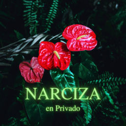 Podcast thumbnail for NARCIZA en privado