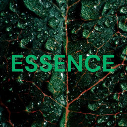 Podcast thumbnail for ESSENCE