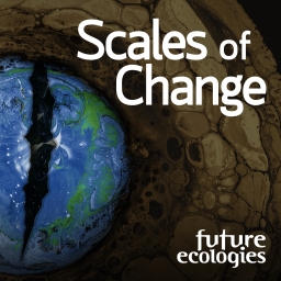 Podcast thumbnail for Scales of Change