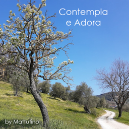 Podcast thumbnail for Contempla e adora
