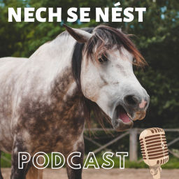Podcast thumbnail for Nech se nést aneb o koních a lidech