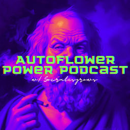 Podcast thumbnail for Autoflower Power