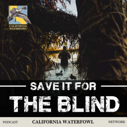Podcast thumbnail for Save it for the Blind Podcast