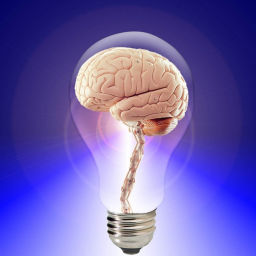 Podcast thumbnail for Momentary Experts