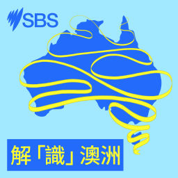 Podcast thumbnail for 解「識」澳洲