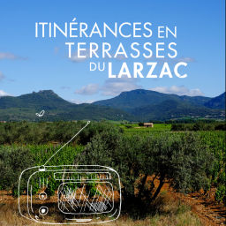 Podcast thumbnail for Itinéraires  sonores en Terrasses du Larzac