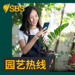 Podcast thumbnail for 园艺热线