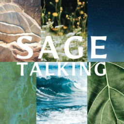 Podcast thumbnail for SageTalking