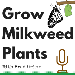 Podcast thumbnail for Grow Milkweed Plants
