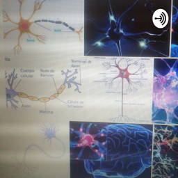 Podcast thumbnail for Corte Científico Sobre Las Neuronas