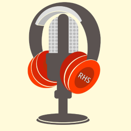 Podcast thumbnail for Rollenhoerspiel.de