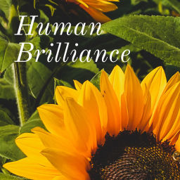 Podcast thumbnail for Human Brilliance: Beyond Beauty
