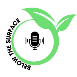 Podcast thumbnail for Below the Surface