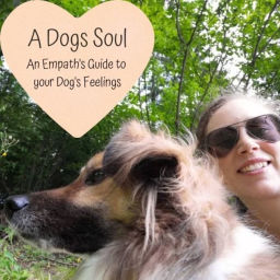 Podcast thumbnail for A Dog's Soul - An Empath's Guide to your Dog's Feelings