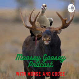 Podcast thumbnail for Moosey Goosey Podcast