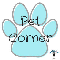 Podcast thumbnail for Pet Corner