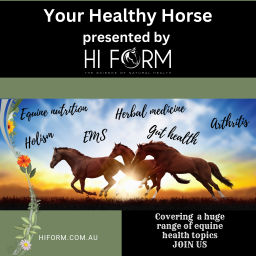 Podcast thumbnail for Hi Form