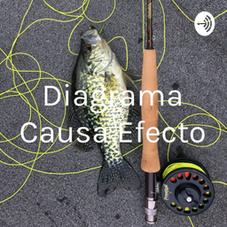 Podcast thumbnail for Diagrama Causa Efecto