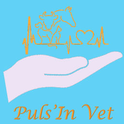 Podcast thumbnail for Puls'In Vet