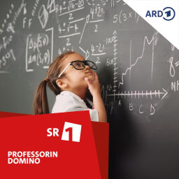 Podcast thumbnail for Professorin Domino