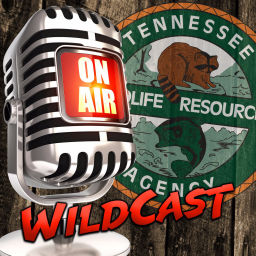 Podcast thumbnail for Tennessee WildCast