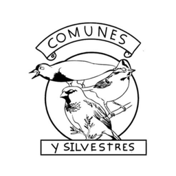 Podcast thumbnail for Conversaciones Comunes en Futronhue